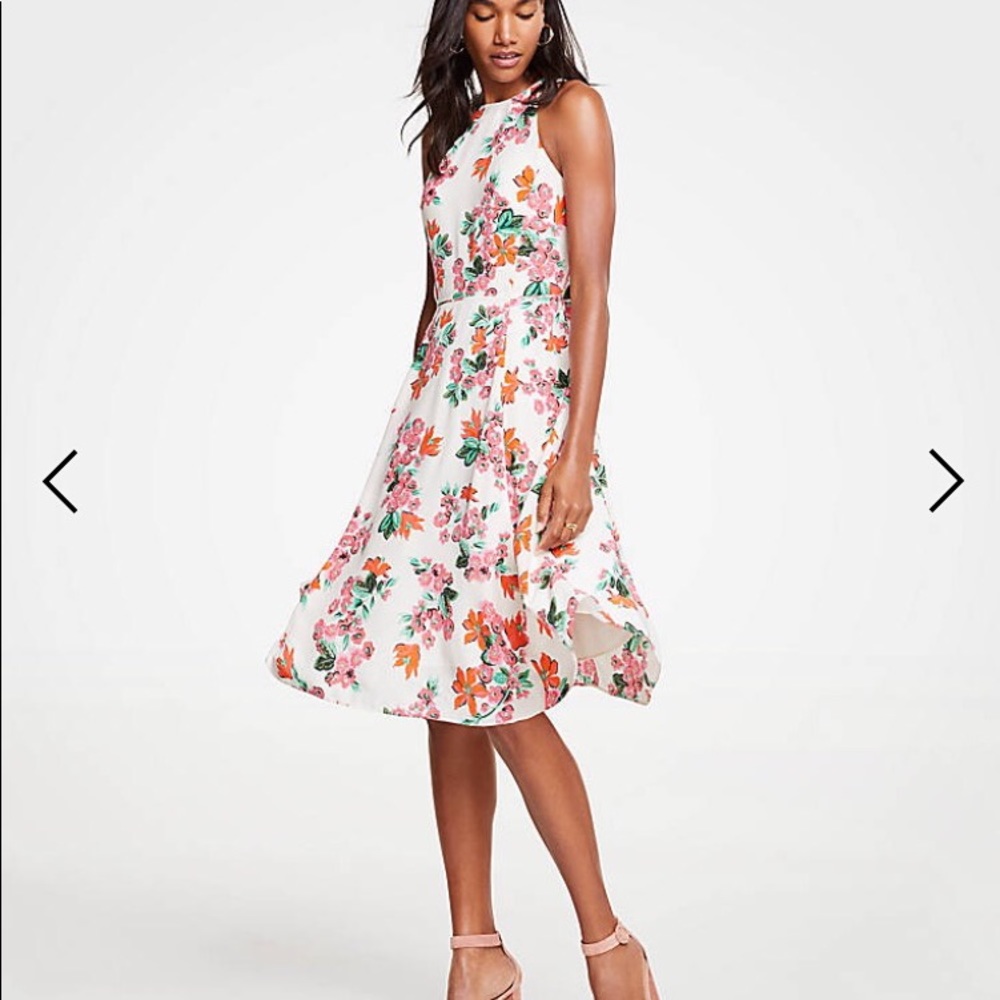 Ann Taylor Floral Dress